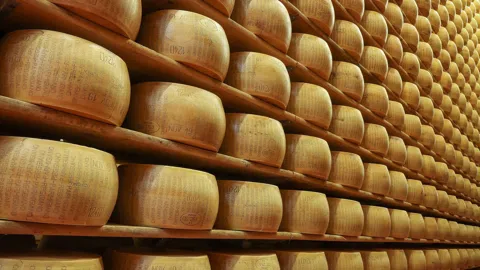 Parmesan, Prosciutto, and Gold: A Day in Bologna's Food Valley